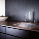 Blanco Zerox 500-U Sink - Ideali