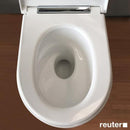 Geberit One Wall-Mounted Washdown Toilet With Toilet Seat - Ideali