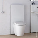 Geberit Monolith Sanitary Module For Floor-Standing Toilet H: 101 Cm, Glass White - Ideali