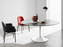 Krusin Chair with Armrests - Ideali Premium Homeware