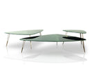 Baxter Organique Coffee Table