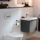 Villeroy & Boch ViConnect 200G Flush Plate