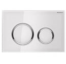 Flush Plate - Ideali