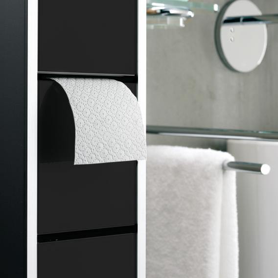 Emco Asis Wall-Mounted Toilet Module - Ideali