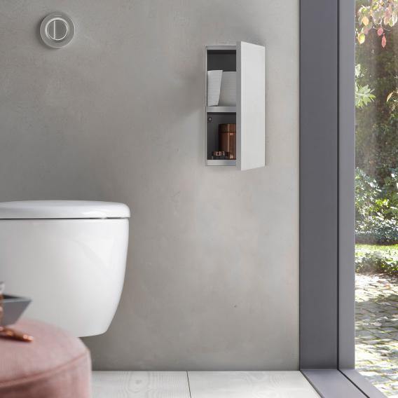 Emco Asis Plus Concealed Toilet Module - Ideali