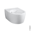 Geberit iCon Toilet with Toilet Seat