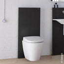 Geberit Monolith Plus Sanitary Module For Floorstanding Toilet - Ideali