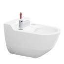 LAUFEN Cleanet Riva odour filter and descaling agent