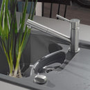 Villeroy & Boch Como Shower Single Lever Kitchen Mixer - Ideali