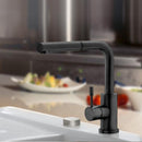 Villeroy & Boch Steel Shower Kitchen Mixer - Ideali